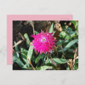 Fotobriefkaart van Fuchsia flower Briefkaart (Voorkant / Achterkant)