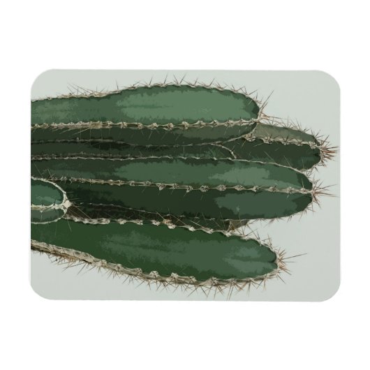 Fotocactus modern magneet (Horizontaal)