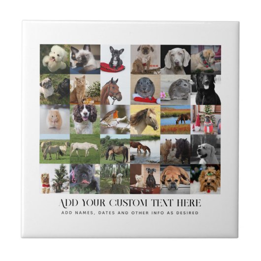 FOTOCADEAUS SJABLONEN GEZIN VRINDEN HUISDIEREN AAN TEGELTJE (Voorkant)