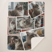 Fotocluster Bruin - 7 verspreide foto's