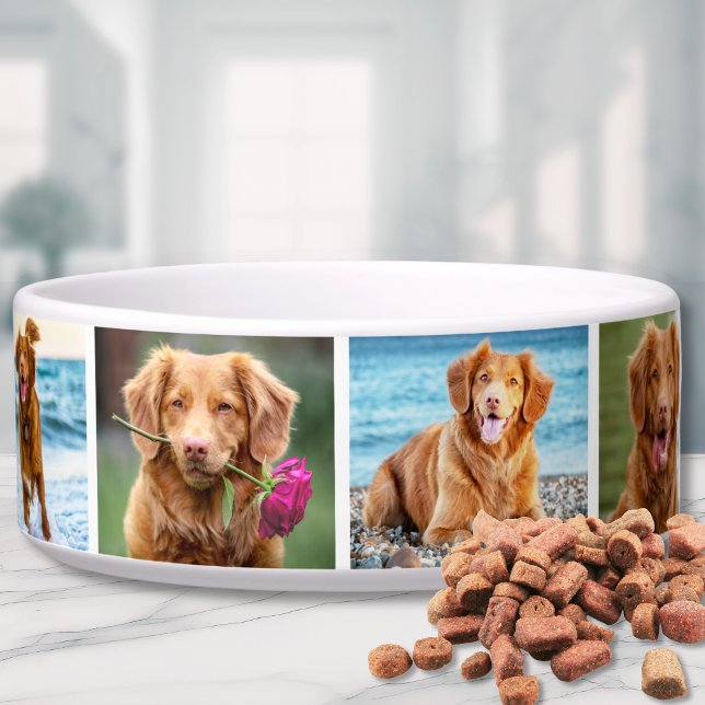 Fotocollage Eenvoudig Elegant Afbeelding Pet Voerbakje (Photo Collage Simple Elegant Picture Bowl)
