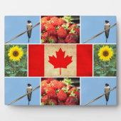  fotocollage en vlag van CANADA Fotoplaat (Voorkant)
