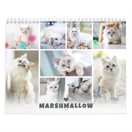 Fotocollage kalender voor huisdieren (Hoes)