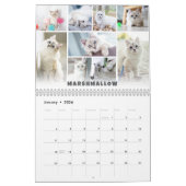 Fotocollage kalender voor huisdieren (Jan 2026)