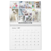 Fotocollage kalender voor huisdieren (Jan 2027)