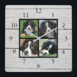 Fotocollage van bijtende schuur vierkante klok<br><div class="desc">Aangepast fotocollage op bijtende schuur,  klok. Voeg uw eigen persoonlijke foto's toe om de klok te personaliseren. Moet niet slechts vierkante foto's toevoegen andere grootte zal het grootste deel van de tijd ook passen. Als je hulp nodig hebt,  kun je contact met me opnemen.</div>
