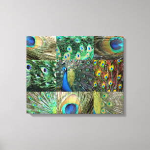 Fotocollage van Green Blue Peacock Canvas Afdruk