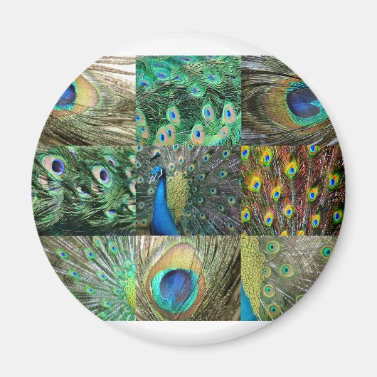 Fotocollage van Green Blue Peacock Magneet (Voorkant)