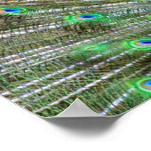 Fotocollage van Green Blue Peacock Poster (Hoek)