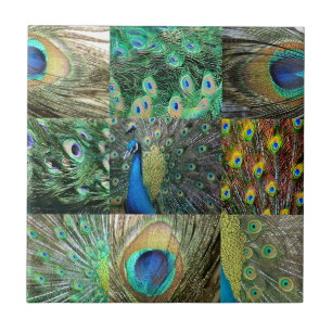 Fotocollage van Green Blue Peacock Tegeltje