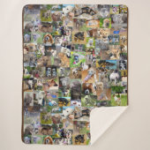 Fotocollage van honden; sherpa deken (Voorkant)