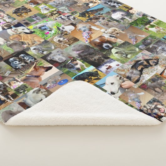 Fotocollage van honden; sherpa deken (3/4)