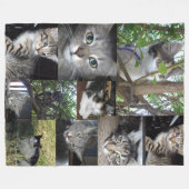 Fotocollage van katten en kitten, fleece deken (Voorkant (Horizontaal))