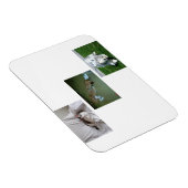 Fotocollage van Moira, Riley en Tyler Magneet (Rechterzijde)