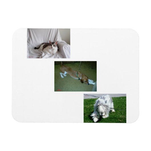 Fotocollage van Moira, Riley en Tyler Magneet (Horizontaal)