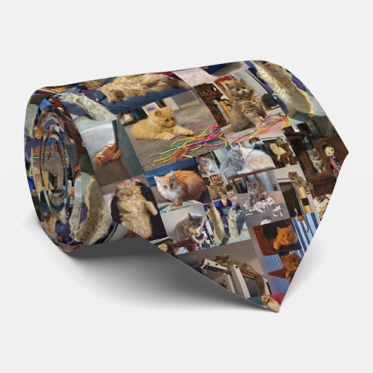 Fotocollage voor afspeelbare Fluffy Kittens; Stropdas (Opgerold)