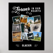 Fotocollage voor altijd in onze harten Paard Memor Poster (Voorkant)