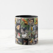 Fotocollage voor kippen en roosters; mok (Midden)