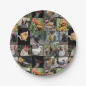 Fotocollage voor kippen en roosters; papieren bordje (Voorkant)