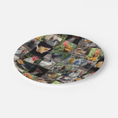 Fotocollage voor kippen en roosters; papieren bordje (Gekanteld)