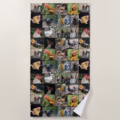 Fotocollage voor kippen en roosters; strandlaken (Voorkant)