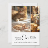 Fotocollage Vrede op Aarde Meowy Kerstkat Feestdagenkaart (Voorkant)