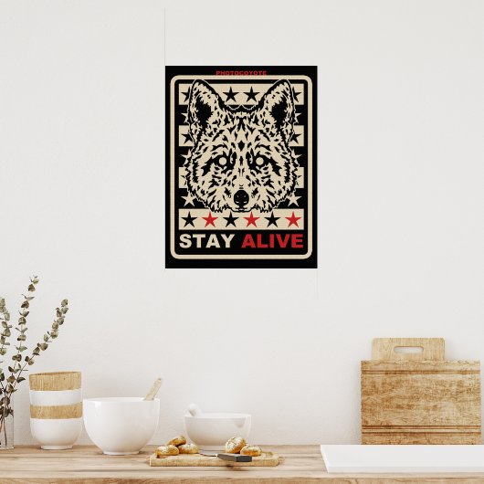 Fotocoyote poster 2014 1 (Keuken)