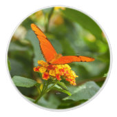 fotodeurkruk van een vlinder op een bloem keramische knop (Voorkant)