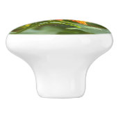 fotodeurkruk van een vlinder op een bloem keramische knop (Zijkant)