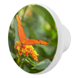 fotodeurkruk van een vlinder op een bloem keramische knop