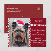 Fotofeestdag voor huisdieren briefkaart (Voorkant / Achterkant)