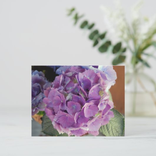 Fotofoto bloem, hydrangea briefkaart (Staand voorkant)