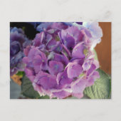 Fotofoto bloem, hydrangea briefkaart (Voorkant)