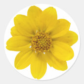 Fotofoto van Bright Gele Wildbloem Ronde Sticker (Voorkant)