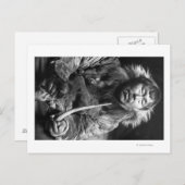 Fotofoto van de Eskimo-rookpijp Alaskan Briefkaart (Voorkant / Achterkant)