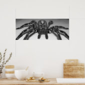 Fotofoto van Fasciata door Randomwhat Poster (Keuken)