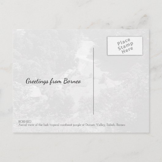 Fotofoto van het Oerwoud van het regenwoud van Bor Briefkaart (Achterkant)