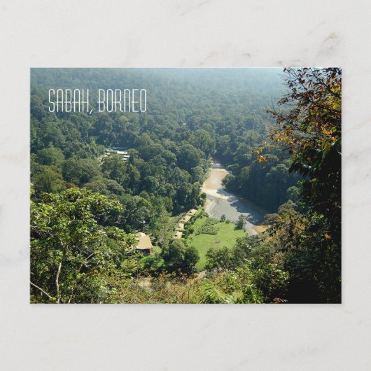 Fotofoto van het Oerwoud van het regenwoud van Bor Briefkaart (Voorkant)