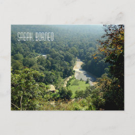 Fotofoto van het Oerwoud van het regenwoud van Bor Briefkaart