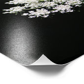 Fotofoto van koningin Anne's Lace Foto Afdruk (Hoek)