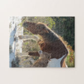 Fotofoto van paarden en Foal Legpuzzel (Horizontaal)