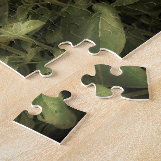 Fotofoto van zonnebloemen legpuzzel (Zijkant)