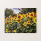 Fotofoto van zonnebloemen legpuzzel (Horizontaal)