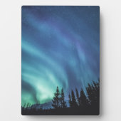 Fotofoto voor lichte Natuur Fotoplaat (voorkant)