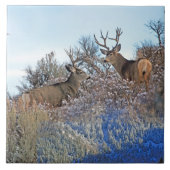 Fotofotografie fotoshop tegeltje (Voorkant)