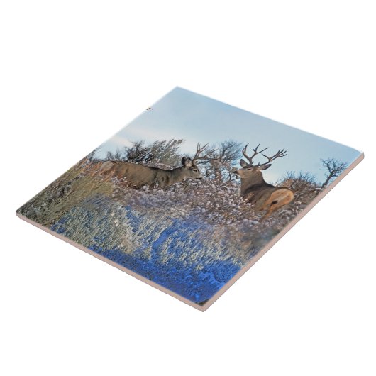 Fotofotografie fotoshop tegeltje (Zijkant)