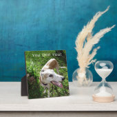 Fotofoto's met Easel Fotoplaat (Insitu)