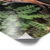 Fotofoto's met rood formaat foto afdruk (Hoek)