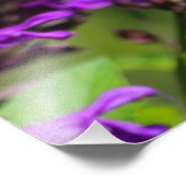 Fotofoto's met ruby-troebele Hummingbird Foto Afdruk (Hoek)