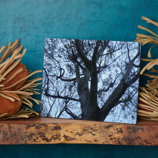 Fotofoto's met structuur Silhouette Fotoplaat (Zijkant)